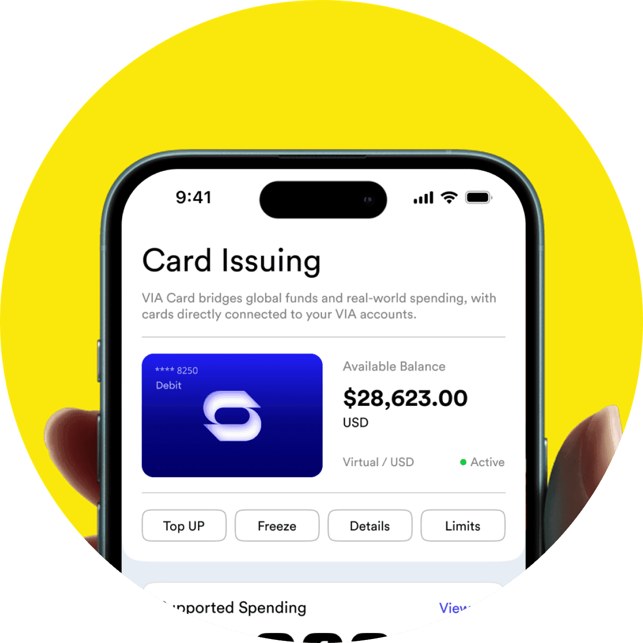 Card issuing mobile interface